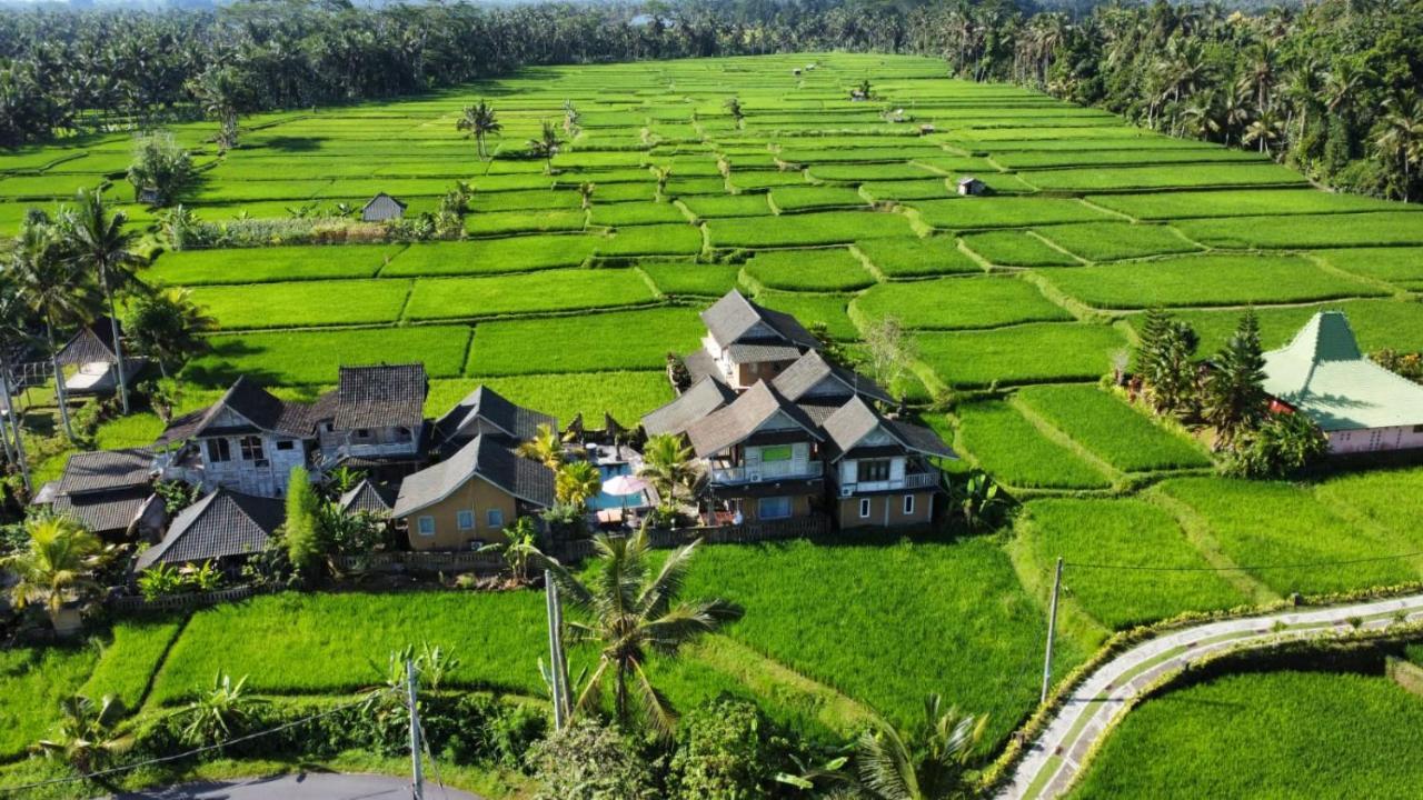 Ananda Jj & * Ubud