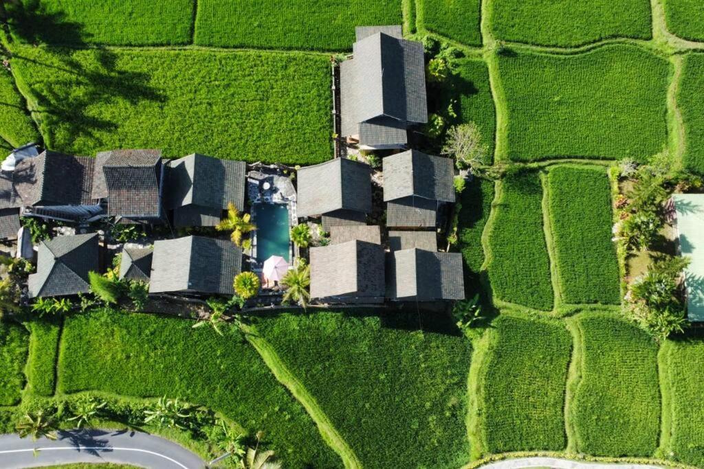 Resort Ananda Jj & Ubud