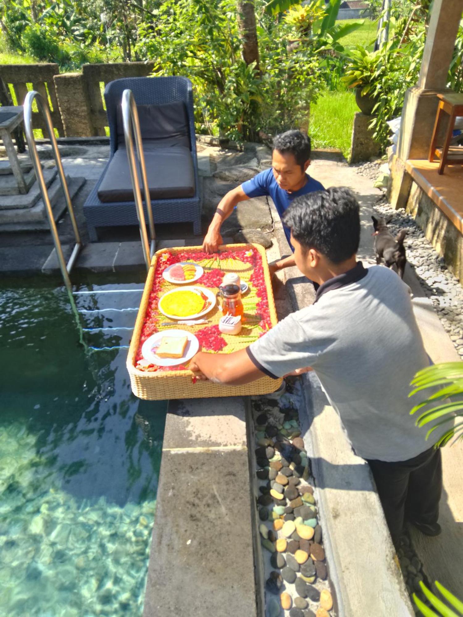 Ananda Jj &